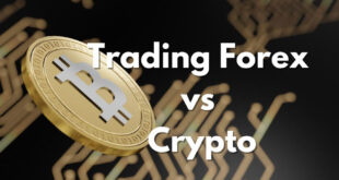 crypto vs forex